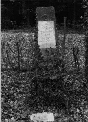 Grabstein 246