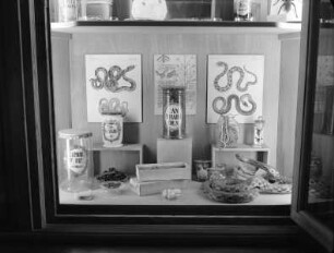 Vitrine mit verschiedenen Aufbewahrungsgefäßen für Arzneimittel, Schautafeln und präparierten Tieren