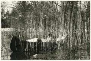 Frühling am Wannsee - Frau im Kanu