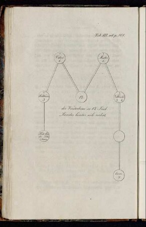 Tab. III. ad p. 101.