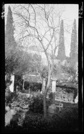Garten des griechischen Konsulats