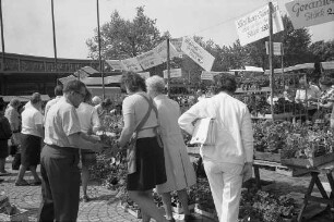 8. Karlsruher Geranienmarkt des Verbands badischer Gartenbaubetriebe auf dem Festplatz