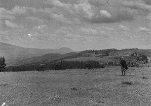 Mount Entoto : Landschaft am Mount Entoto