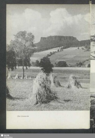 Der Lilienstein