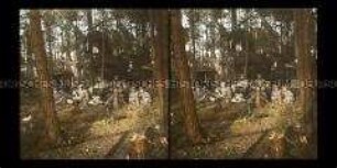 Gruppe Matrosen unter einer Glocke aus Eichenlaub im Waldlager