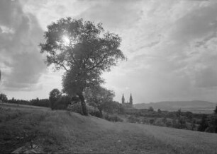 Katholische Pfarr- und Wallfahrtskirche Maria Himmelfahrt