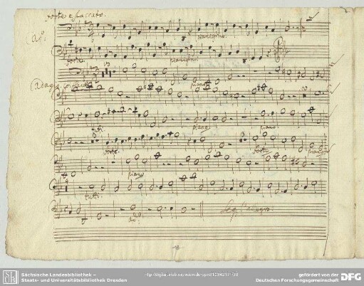 Concerti grossi, HWV 312 <2. Adagio>