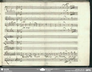 Quartetto: "Ombre de morti"