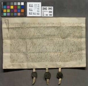 Friedberg: Henrich Specht v. Bubenheim Edelknecht verkauft dem Wanther Wyckar, Altaristen des Hl. Kreuzes in der Pfarrkirche zu Friedberg 1/2 fl. ...