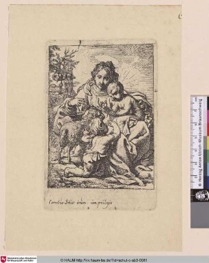 [Maria mit Kind, welches den kleinen Johannes segnet; Virgin, the Child and S. John with the Lamb]