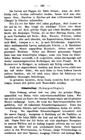 Schmetterlinge (Schuppenflügler).