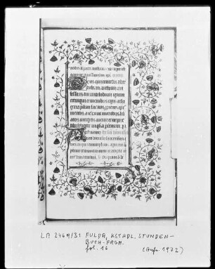 Fragment eines Stundenbuches — Initialen D und A und Bordüre, Folio 16recto