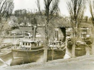 Lauenburg. Schlepper im Elbehafen