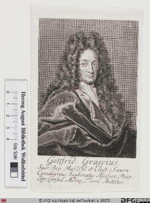 Bildnis Gottfried Graeve (lat. Graevius) d. Ä.