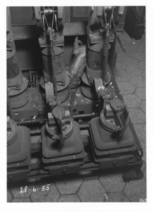 Industrie-Kraftwerk. Betriebsschaden durch eine Katze : Lauta (Niederlausitz). Industrie-Kraftwerk. Betriebsschaden durch eine Katze