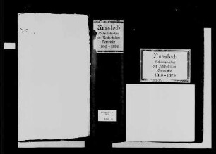 Nußloch, katholische Gemeinde: Geburtenbuch 1810-1870