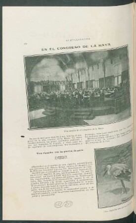 En el congreso de la Haya