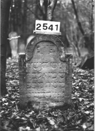 Grabstein 2541