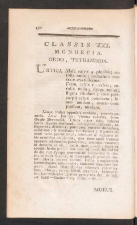 Classis XXI. Monoecia. Ordo, Tetrandria.