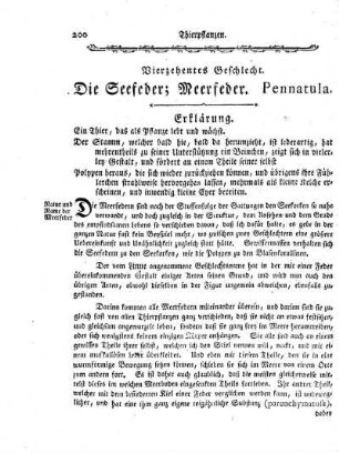 Vierzehentes Geschlecht. Die Seefeder; Meerfeder. Pennatula.