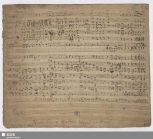 Partitur [fragliches Autograph]