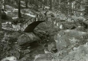 Rosenthal, Sächs. Schweiz, Flößerbrücke im Fuchsbachtal, 1956
