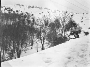 Landschaft : Blick über eine schneebedeckte Landschaft.