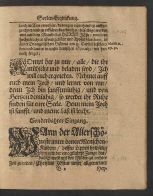 Sonderbahrer Eingang.