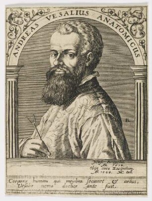 Bildnis des Andreas Vesalius
