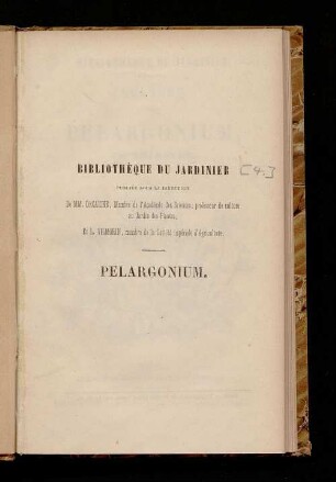 Culture des Pelargonium