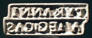 Mehreckiger Stempel mit zweizeiliger lateinischer Inschrift: TYRANNI / AV . EG . CAS