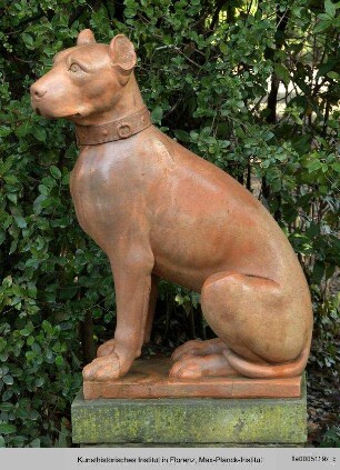 Zwei Sitzende Hunde