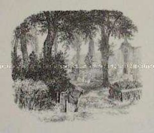 Ein alter schattiger Friedhof