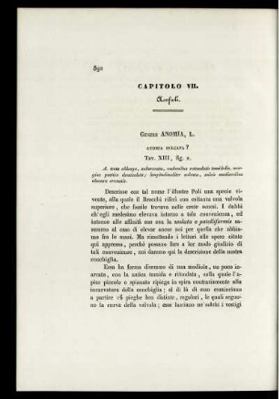 Capitolo VII.