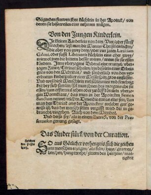 Das Ander stück/ von der Curation.