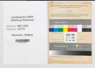 Entnazifizierung Walther Naumann, geb. 13.09.1897 (Amtsgerichtsrat)