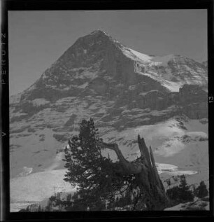 Eiger Nordwand