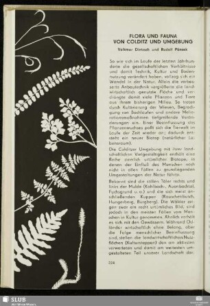Flora Und Fauna Von Colditz und Umgebung