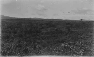 Landschaft (Sammlung Hans Meyer - Ostafrikaexpeditionen Hans Meyer 1886/1911)