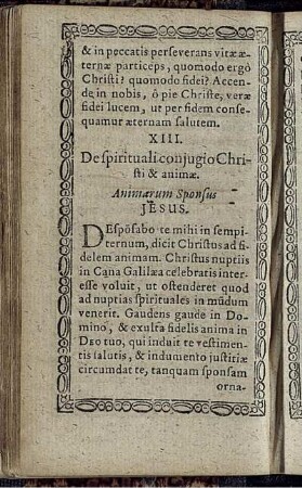 XIII. De spirituali coniugio Christi & animae