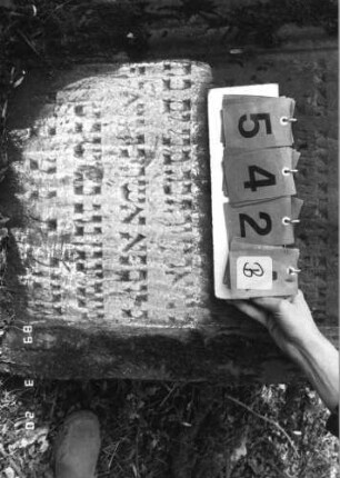 Grabstein 542 (Index: 99752998) Material: Sandstein Zustand: verwittert mit Textverlust Maße HxBxT: 112x67x9 cm Beschreibung: Stele, in Voluten auslaufender eingezog. Rundbogenabschl. , Schriftfeld eingetieft Symbolik: Muschel, Lilien, Voluten: Grabstein 542B (Nachholaufnahme)