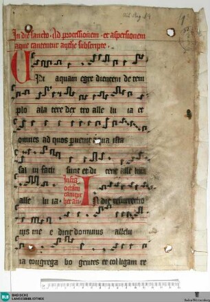 Processionale, Fragment - Cod. Aug. Fr. 93