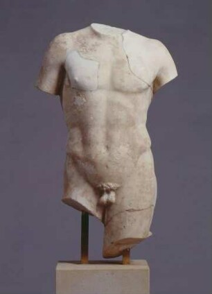 Männlicher Torso