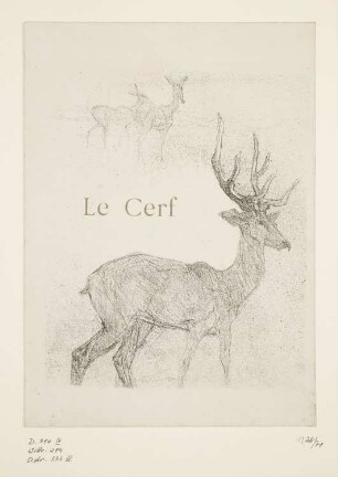Le Cerf, Blatt 17 der Folge "Histoires Naturelles"