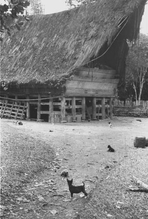 Haus im Batakerdorf (Exkursion: Niederländisch-Indien 1938)