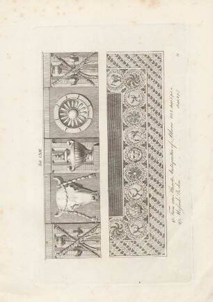 Tab. CXIII.