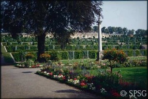 Potsdam, Park Sanssouci, Parterre Große Fontäne, Rabatte mit Blumenbepflanzung.