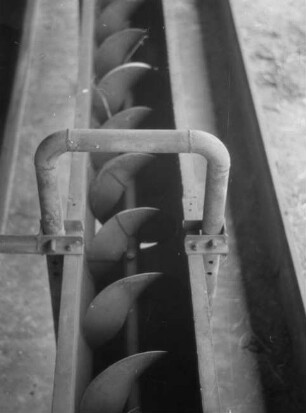 Automatische Fütterungsanlage