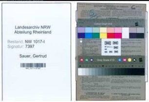 Entnazifizierung Gertrud Sauer , geb. 08.11.1922 (Kaufmaennische Angestellte)