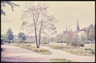 Blick in den Volkspark Wilmersdorf